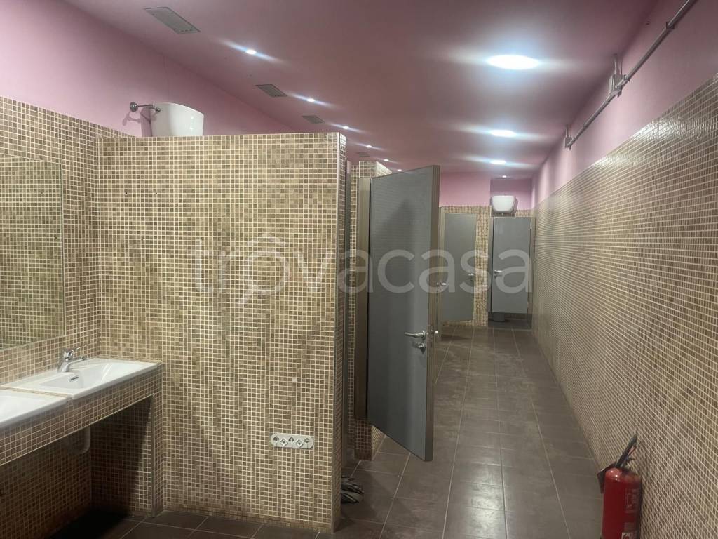 immagine annuncio 12 di 14