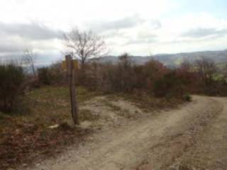 Terreno agricolo all'asta a gubbio località carpiano