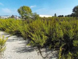 Terreno commerciale all'asta a recanati via erideo marinucci