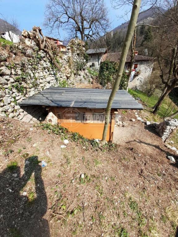 immagine annuncio 2 di 9