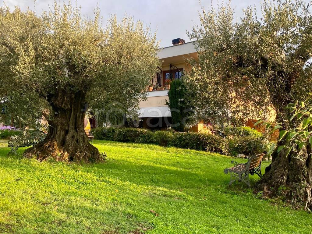 immagine annuncio 8 di 14