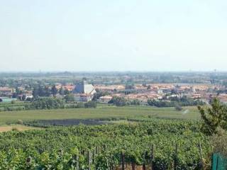 Terreno agricolo in vendita a giavera del montello via annibale carretta