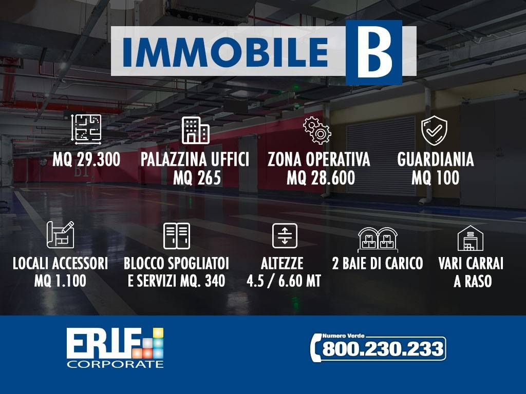immagine annuncio 2 di 7