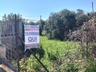 Terreno agricolo in vendita a bari strada statale 16 sud, 26