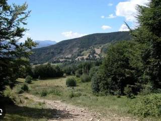 Terreno agricolo in vendita ad abetone cutigliano 