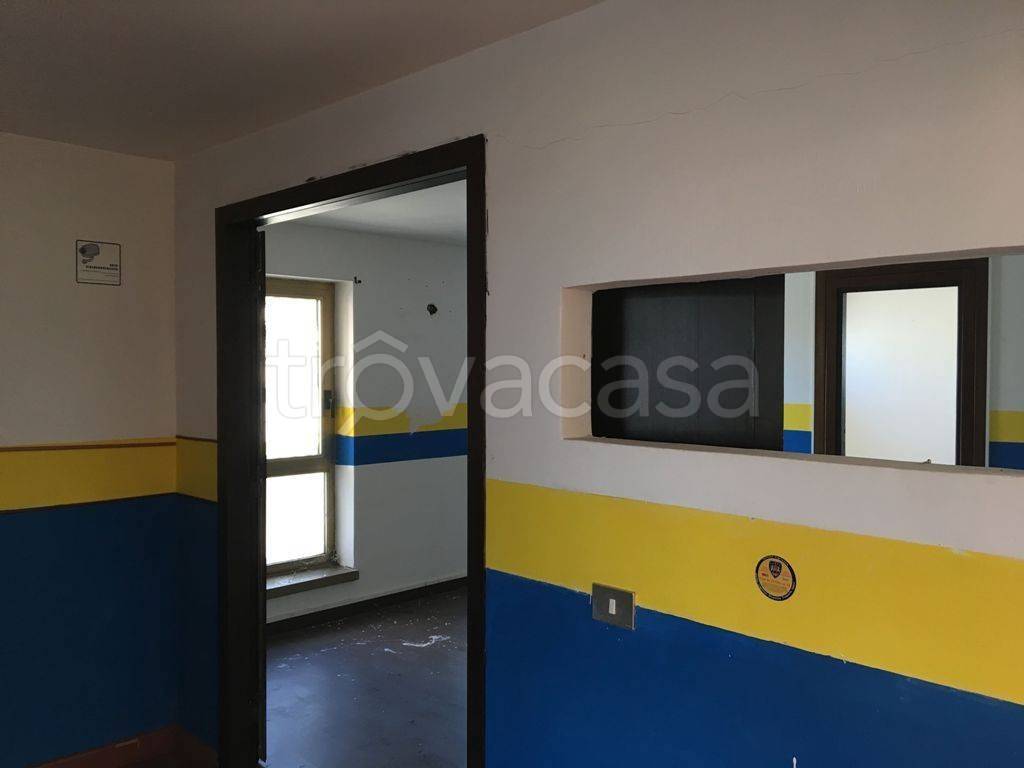 immagine annuncio 3 di 7