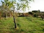 Terreno agricolo in vendita a bari viale giuseppe tatarella