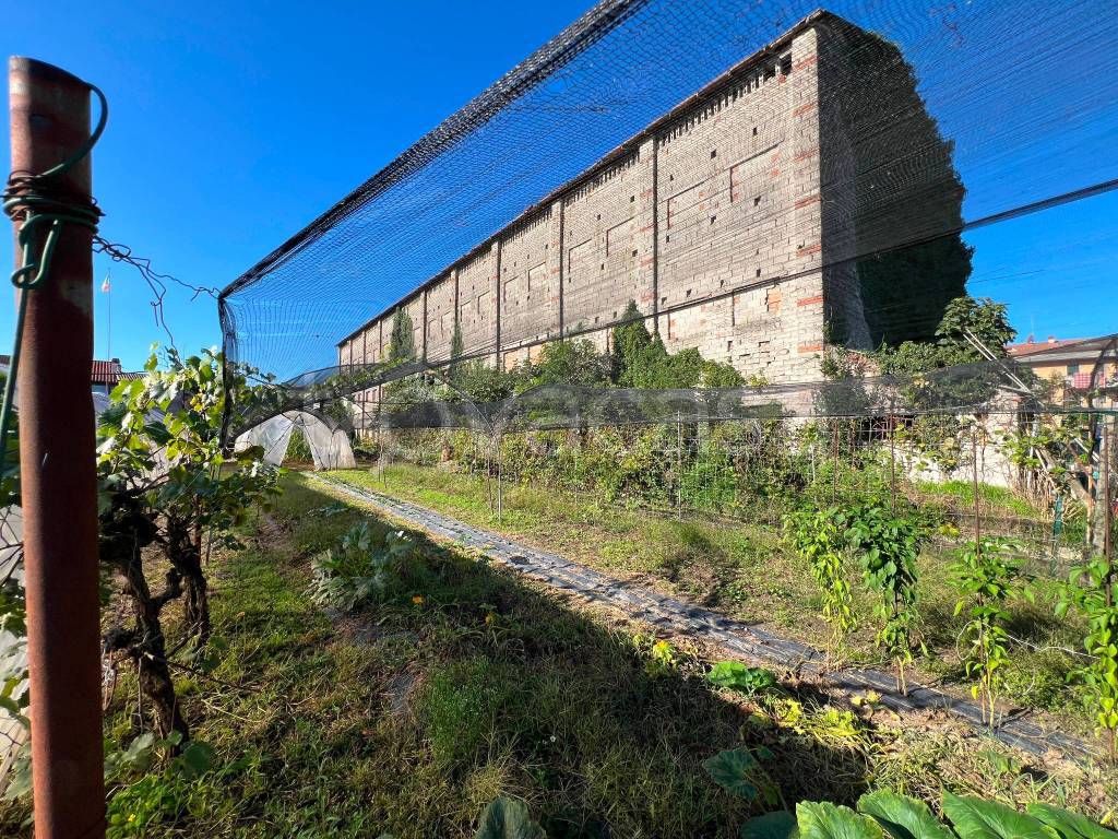 immagine annuncio 3 di 7