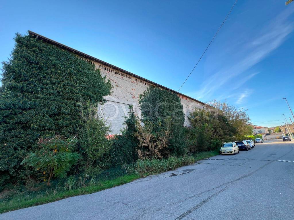 immagine annuncio 1 di 7