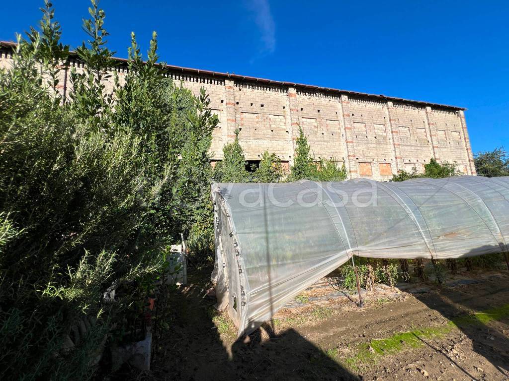 immagine annuncio 4 di 7