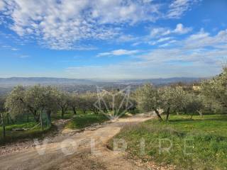 Terreno agricolo in vendita ad assisi via fosso delle carceri