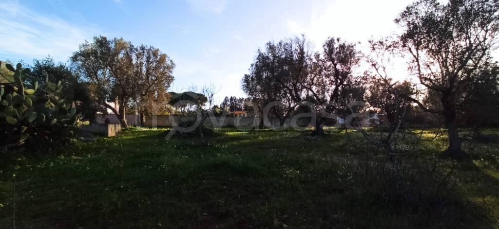 immagine annuncio 4 di 9