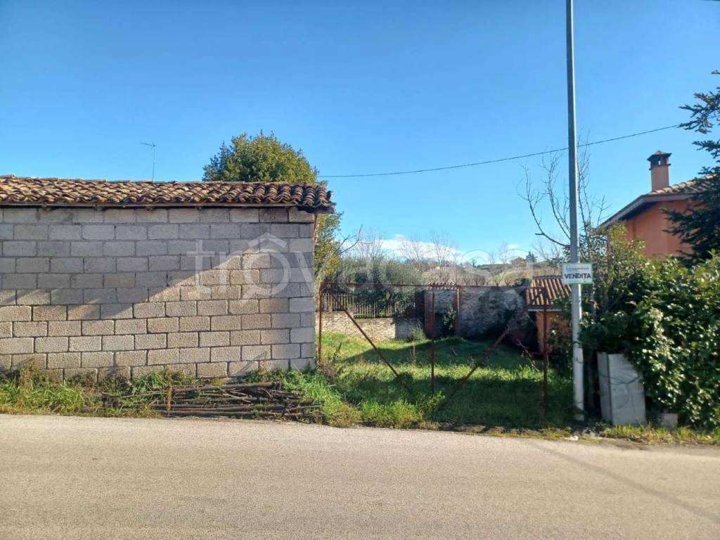 immagine annuncio 2 di 9