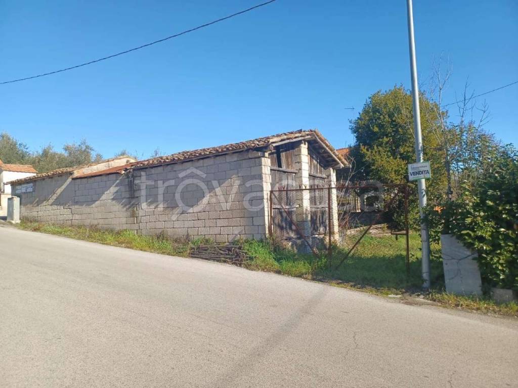 immagine annuncio 3 di 9