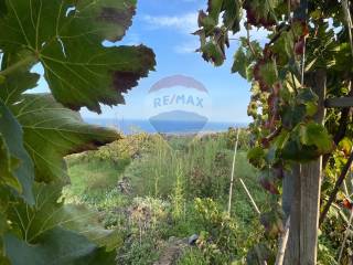 Terreno agricolo in vendita a mascali 