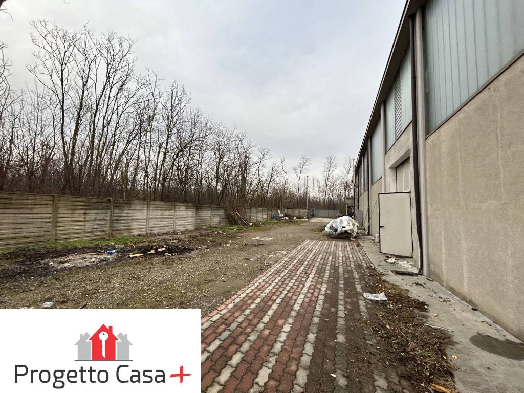 immagine annuncio 3 di 15