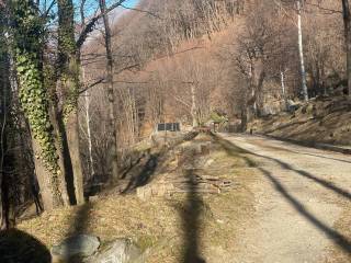 Terreno agricolo in vendita a nomaglio 