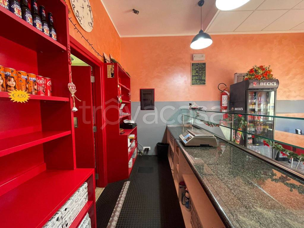 immagine annuncio 5 di 14