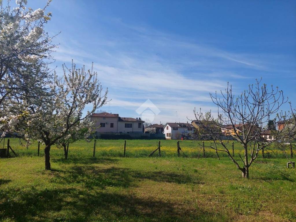 immagine annuncio 1 di 3