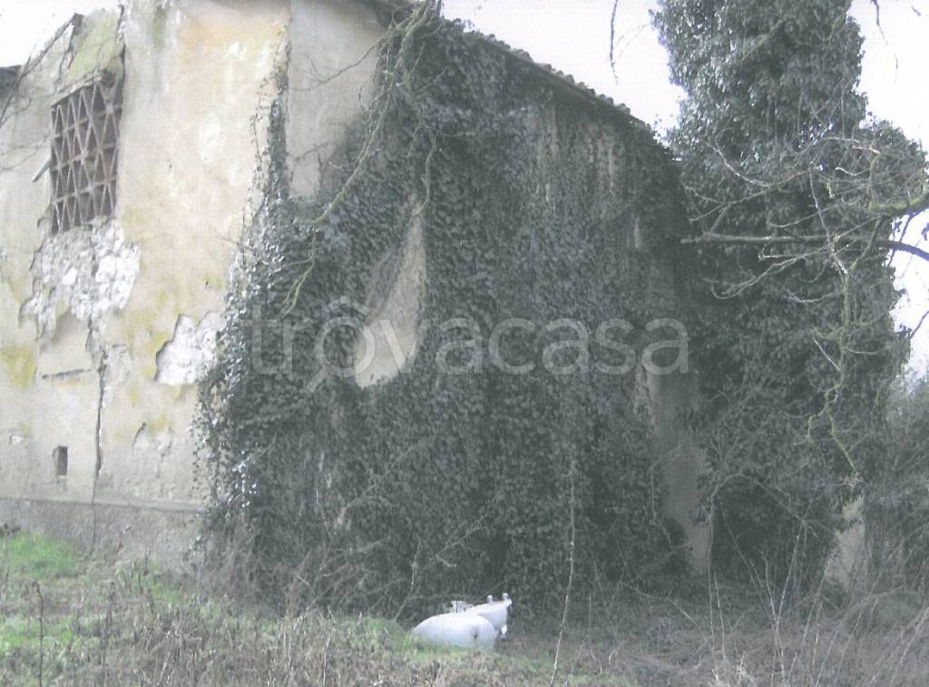 immagine annuncio 8 di 14