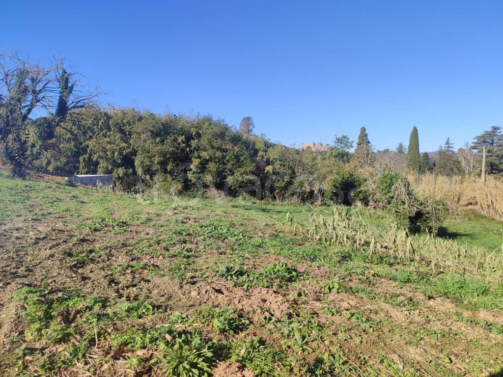 immagine annuncio 8 di 14