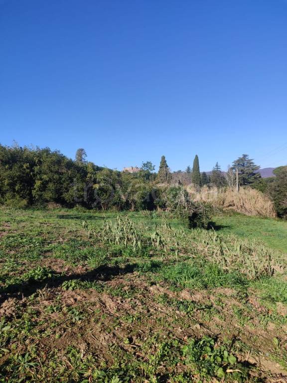 immagine annuncio 12 di 14