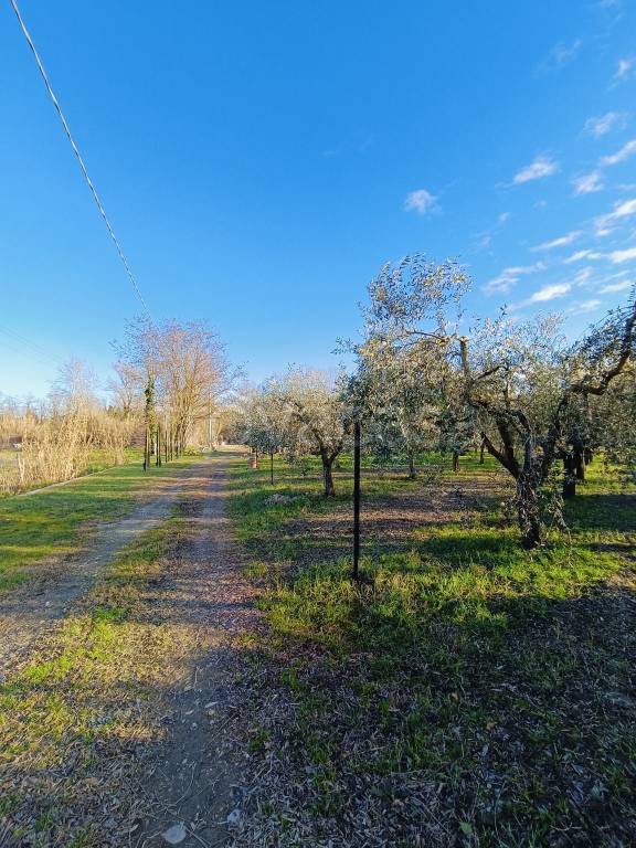 immagine annuncio 9 di 11