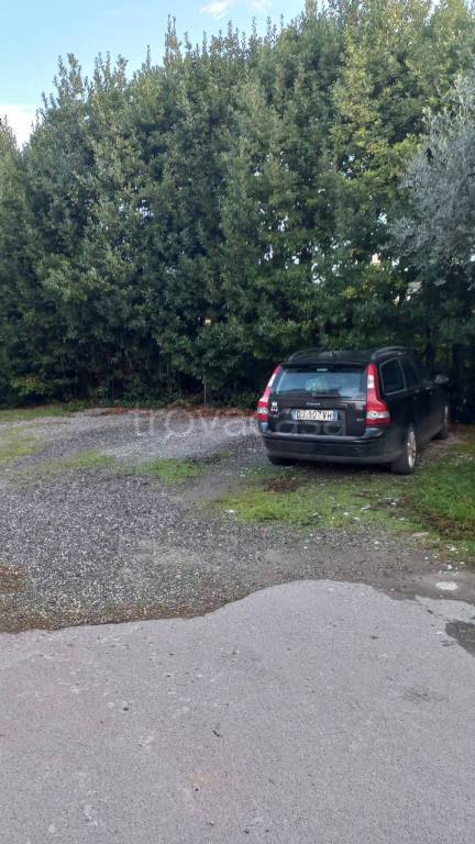 immagine annuncio 6 di 7