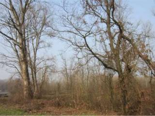 Terreno agricolo all'asta ad abbiategrasso località scagni di sopra