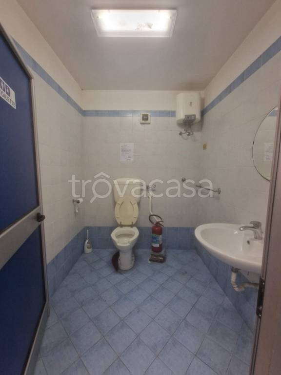 immagine annuncio 11 di 12