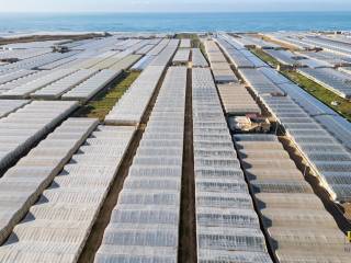 Terreno agricolo in vendita a gela contrada pezza di fico