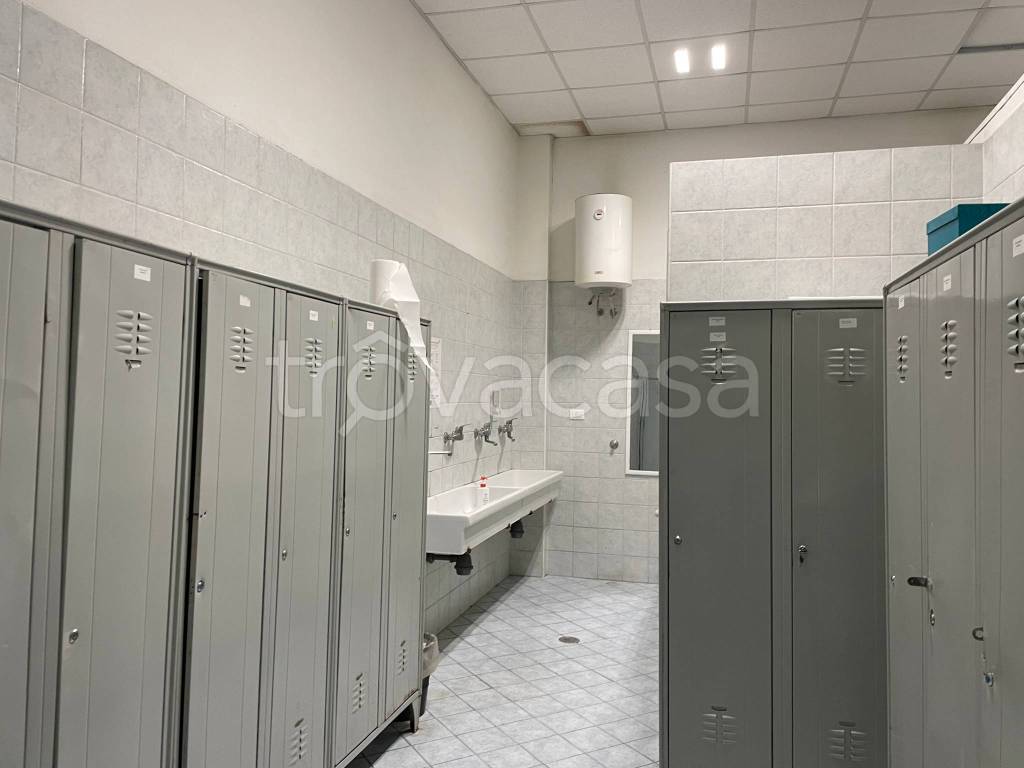 immagine annuncio 10 di 14