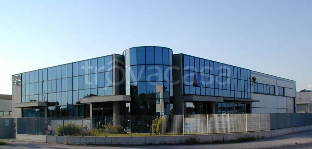immagine annuncio 5 di 9