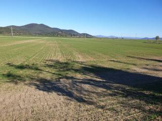 Terreno agricolo in vendita a grosseto strada chiocciolaia