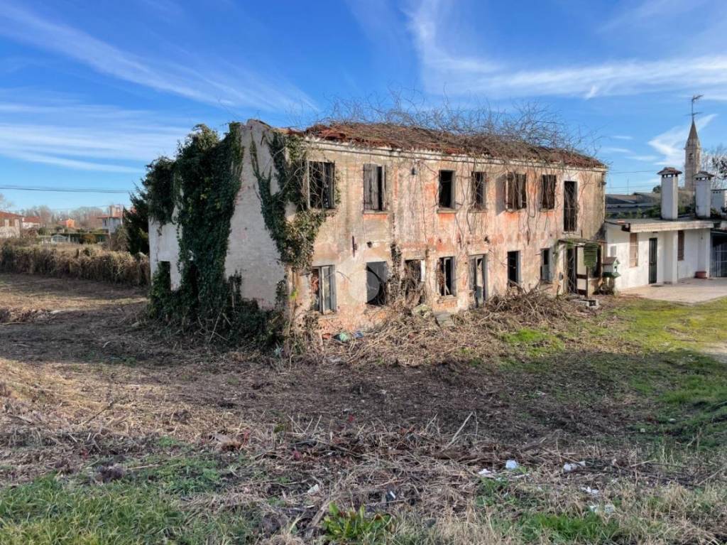 immagine annuncio 3 di 14