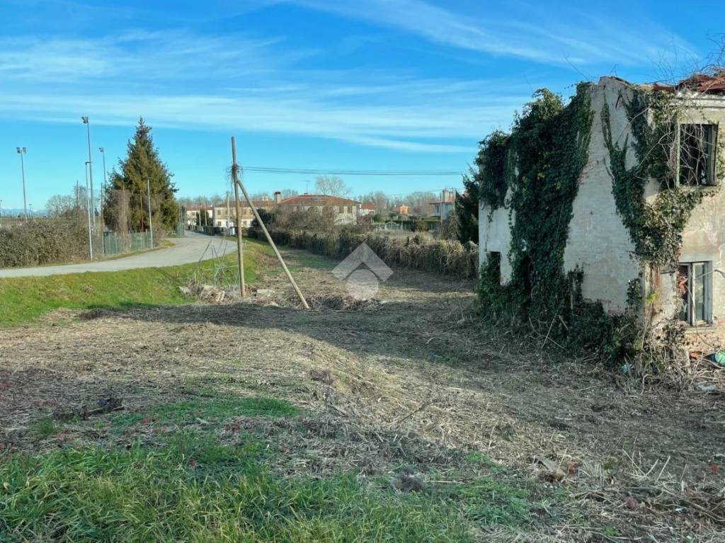 immagine annuncio 9 di 14