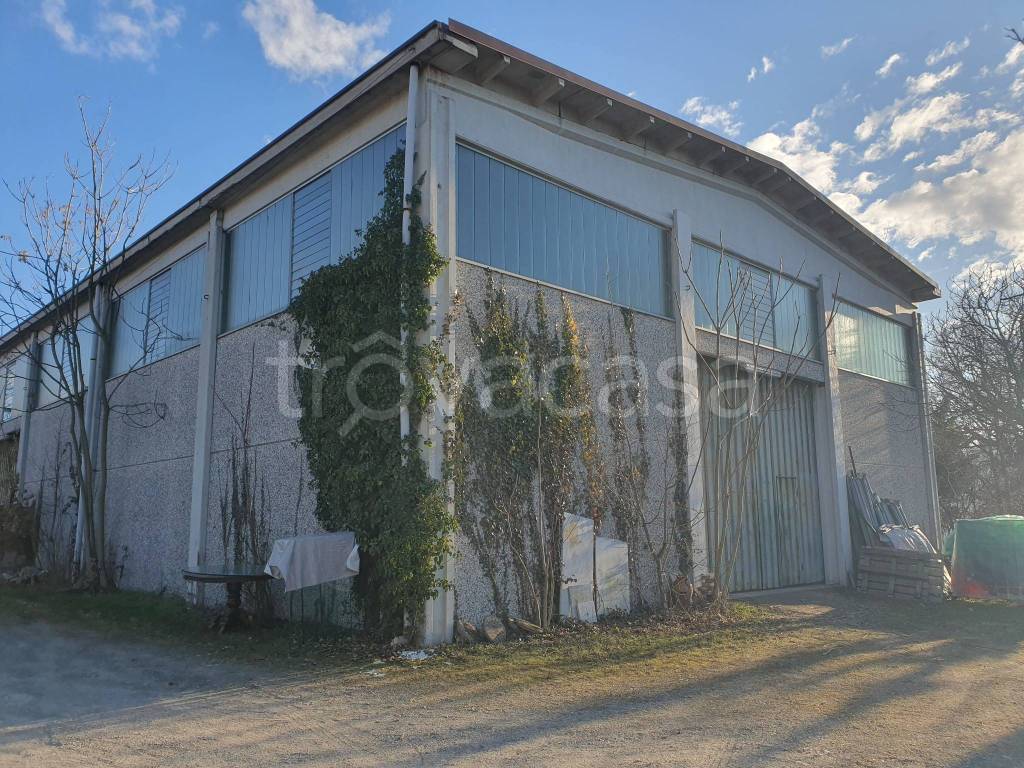 immagine annuncio 2 di 6