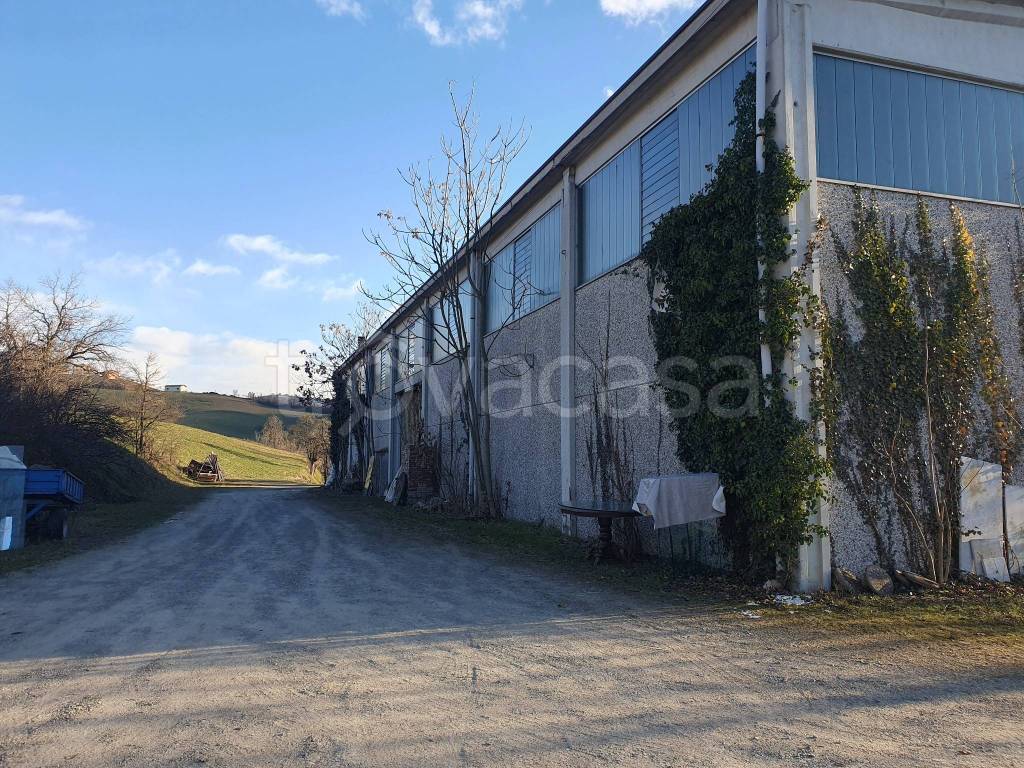 immagine annuncio 3 di 6