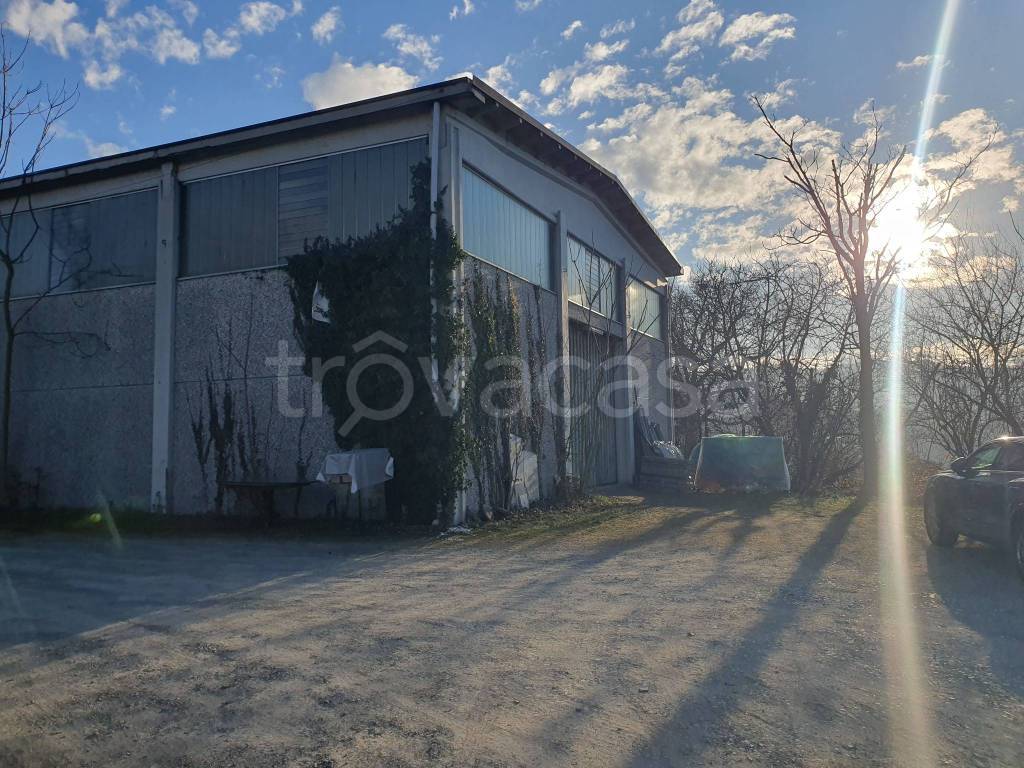 immagine annuncio 4 di 6