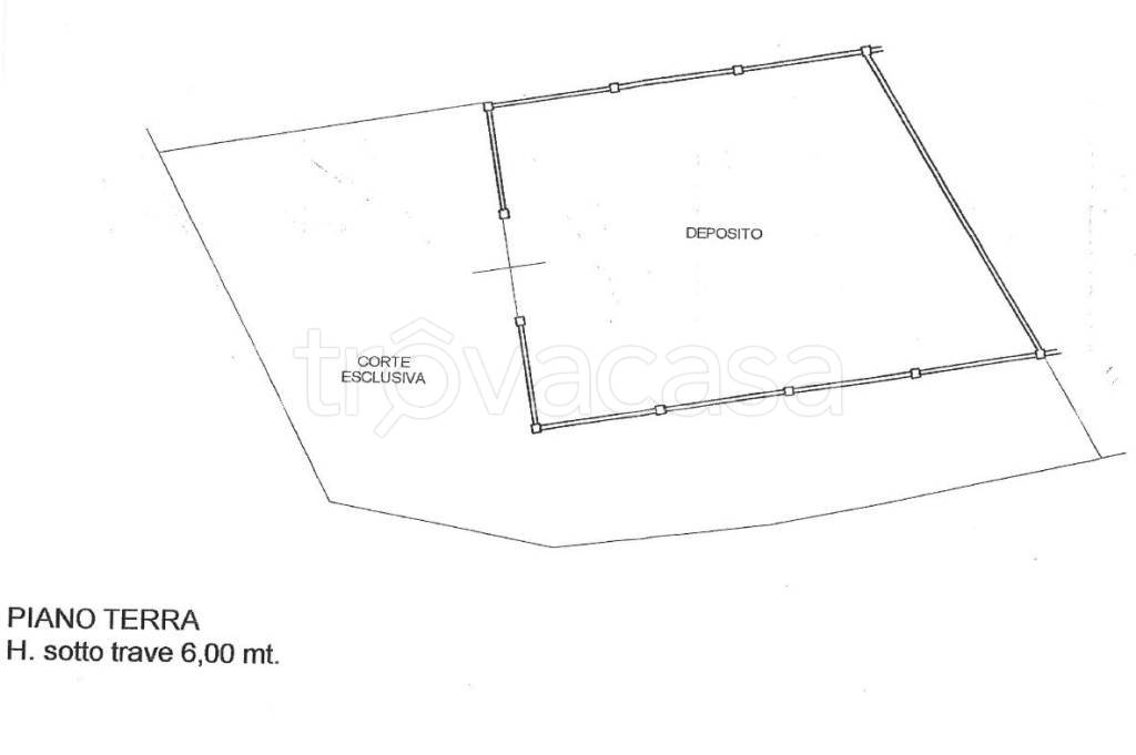 immagine annuncio 5 di 6