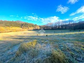 Terreno agricolo in vendita a torri in sabina vocabolo palombara