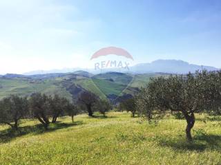 Terreno agricolo in vendita a marineo contrada bagni crisiola, snc