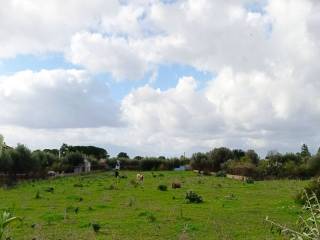 Terreno agricolo in vendita a terrasini contrada femmina morta