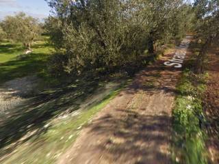 Terreno agricolo all'asta a toritto strada vicinale votano