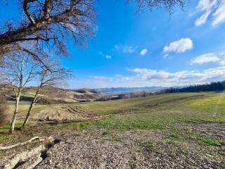 Terreno residenziale in vendita a castellarano via rontano