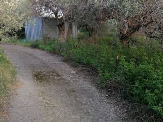 Terreno agricolo in vendita a santa lucia del mela santa maria