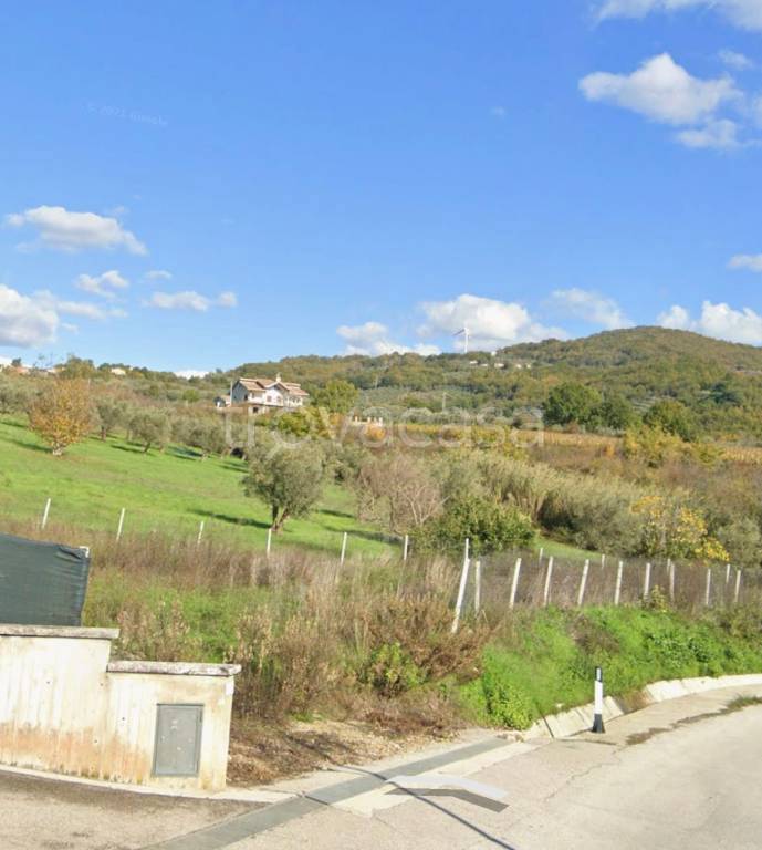 immagine annuncio 2 di 4