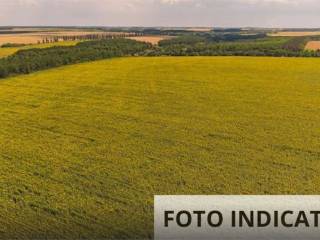 Terreno agricolo all'asta a bassano del grappa località schirati