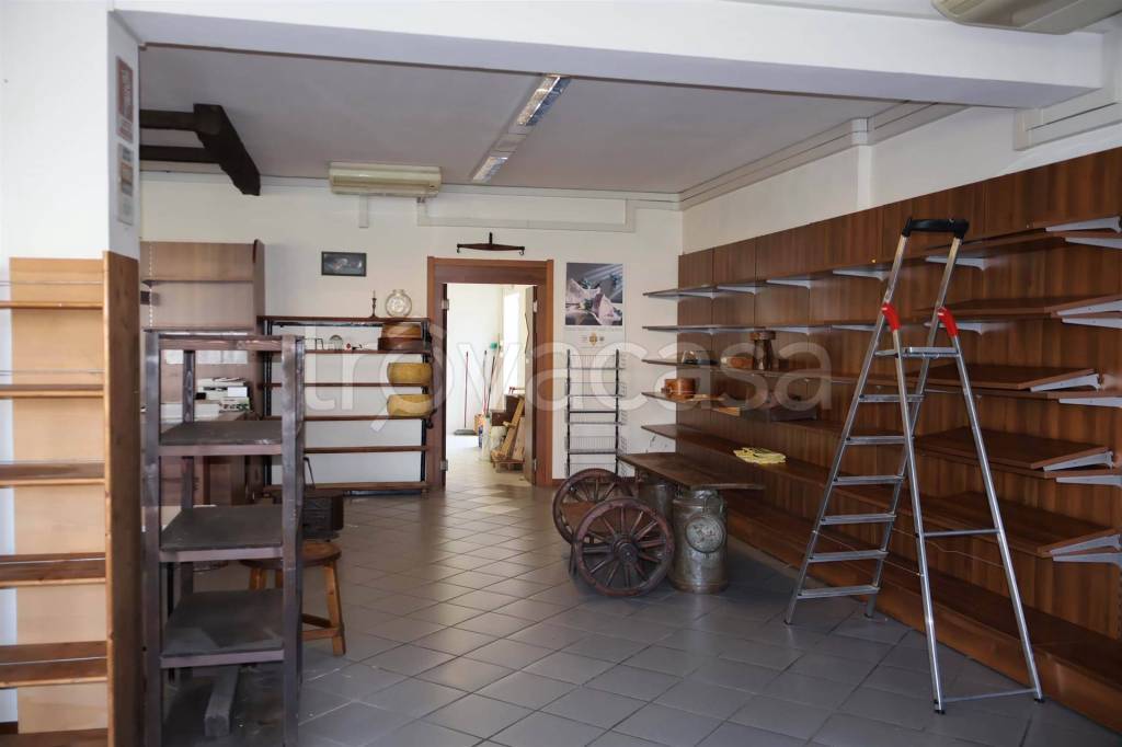 immagine annuncio 5 di 11