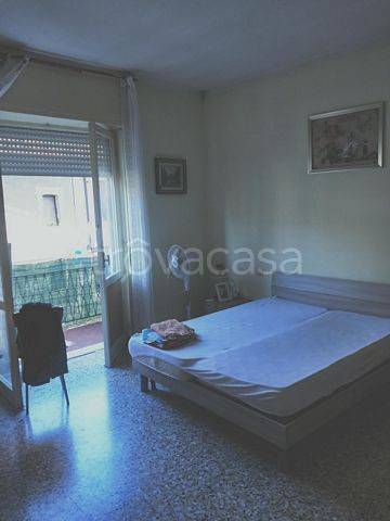 immagine annuncio 6 di 8